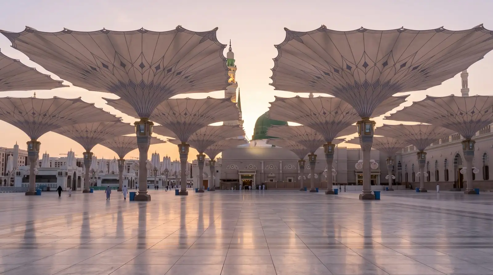 Rows of tall white umbrellas open across the marble courtyard of Masjid an-Nabawi in Madinah at sunset, with the green dome and minarets behind them.